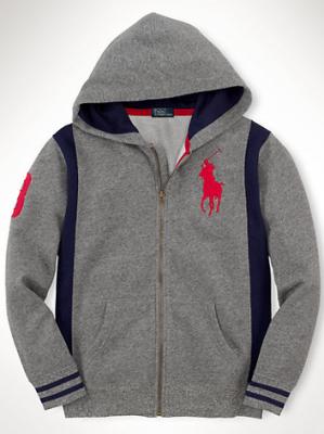 Cheap Ralph Lauren men's Hoodies wholesale No. 408